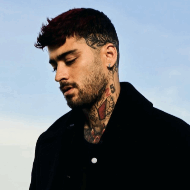 Zayn Malik Opens Up About Racism In a New Song